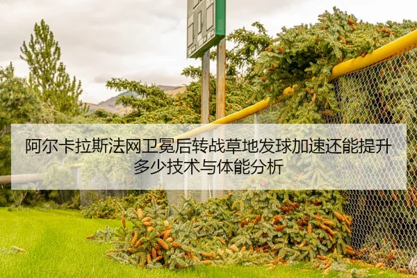 阿尔卡拉斯法网卫冕后转战草地发球加速还能提升多少技术与体能分析